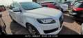 Audi Q7 Quattro AUTOMATIK Leder 7-Sitzer PDC Klimaaut Wit - thumbnail 3