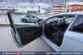 Ford Fiesta ST200 Edition 1.6T 3p ST 200 cv Grau - thumbnail 37