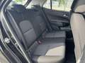 Kia Picanto 1.0 MPI DYNAMICPLUSLINE I APPLE/ANDROID I CRUISE C Zwart - thumbnail 12