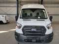 Ford Transit 350 L4 H3 Trend Weiß - thumbnail 8