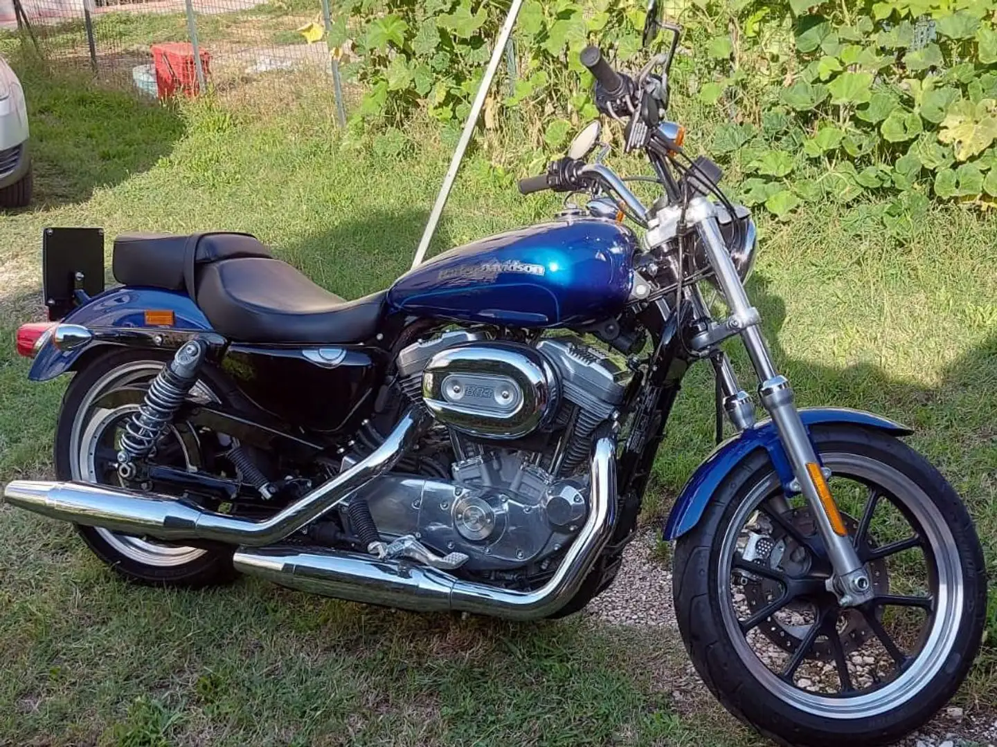 Harley-Davidson XL 883 Blu/Azzurro - 1