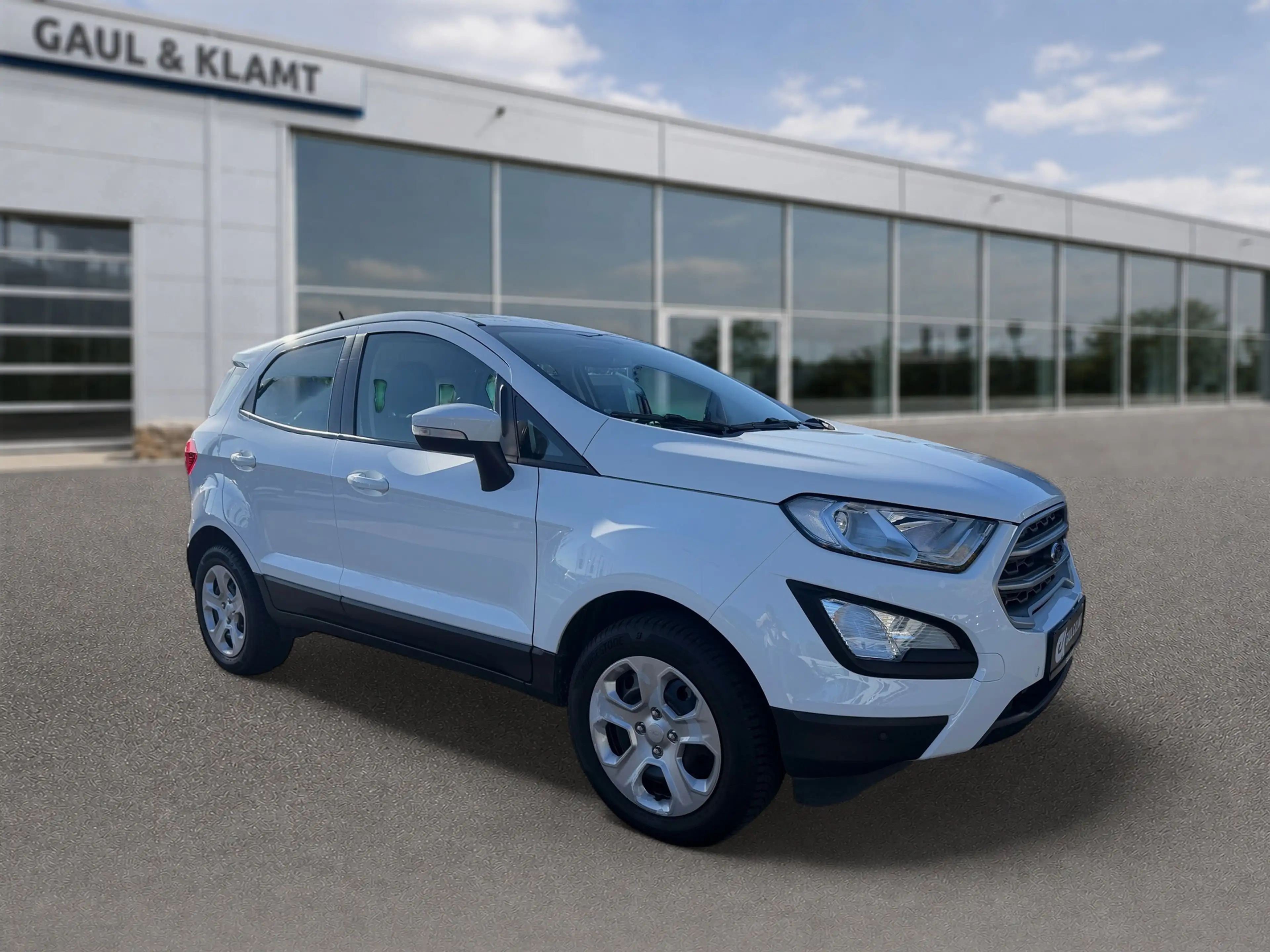 Ford EcoSport Trend — photo 8