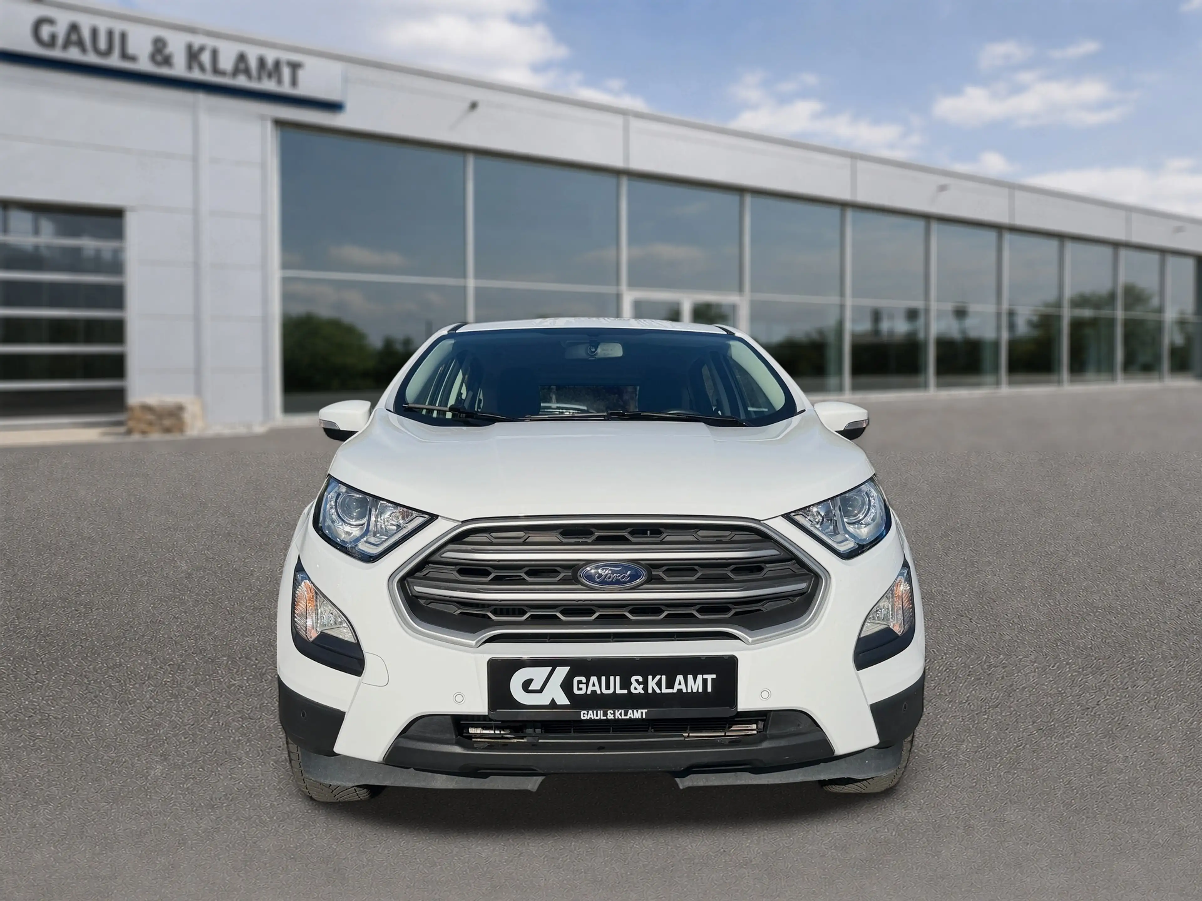 Ford EcoSport Trend — photo 9