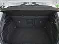 Ford Focus 1.0 Ecoboost MHEV 92kW ST-Line Blanco - thumbnail 19