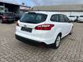 Ford Focus Turnier 1.6 TDCi Trend Weiß - thumbnail 3