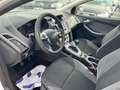 Ford Focus Turnier 1.6 TDCi Trend Weiß - thumbnail 7