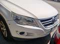 Volkswagen Tiguan 2.0 tdi - TARGA DV996KX Bianco - thumbnail 1