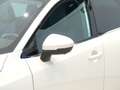 Nissan Qashqai 1.3 DIG-T MHEV N-CONNECTA 140CV 5P Bianco - thumbnail 14