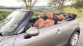 MINI Cooper Cabrio MINI Cooper Cabrio Aut. Cooper Silber - thumbnail 7