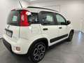 Fiat Panda Panda 1.0 FireFly S&S Hybrid Red Weiß - thumbnail 7