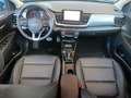 Kia Stonic STONIC 1.0T 120 48V DCT PLATINUM GD Blu/Azzurro - thumbnail 16