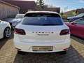 Porsche Macan MACAN TURBO PERFORMANCE "ABSOLUT VOLL" APPROVED Weiß - thumbnail 5