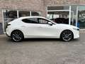 Mazda 3 3 2.0 M-HYBRID / Camera / Apple / 54000km Blanc - thumbnail 7