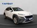 Hyundai KONA Kona I 2021 1.0 t-gdi 48V Xline 2wd 120cv imt Blanco - thumbnail 3