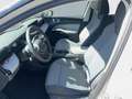 Skoda Epiq Selection 55 Braun - thumbnail 7