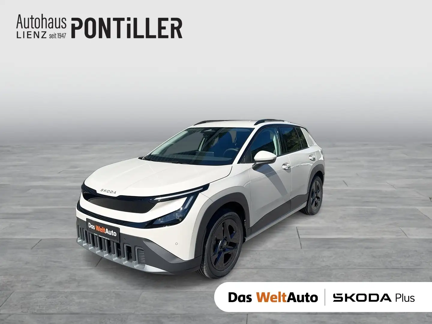 Skoda Epiq Selection 55 Braun - 1