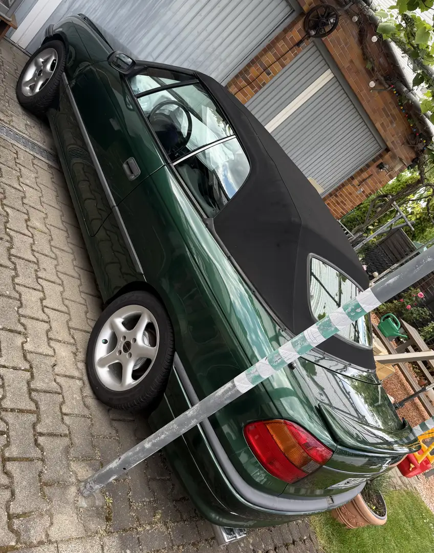 Opel Astra Cabrio 1.6i Bertone Edition Grün Sport Spoiler - 2