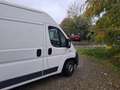 Fiat Ducato 2.3 JTD Multijet L - thumbnail 3