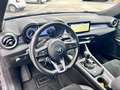 Alfa Romeo Tonale 1.5 130 CV MHEV TCT7 Edizione Speciale Grigio - thumbnail 12