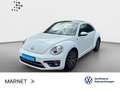 Volkswagen Beetle 1.2 TSI Allstar Navi*Kamera*SHZ*Tempomat* Blanco - thumbnail 1