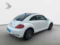 Volkswagen Beetle 1.2 TSI Allstar Navi*Kamera*SHZ*Tempomat* Blanco - thumbnail 18