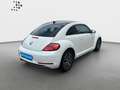 Volkswagen Beetle 1.2 TSI Allstar Navi*Kamera*SHZ*Tempomat* Blanco - thumbnail 3