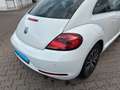 Volkswagen Beetle 1.2 TSI Allstar Navi*Kamera*SHZ*Tempomat* Blanco - thumbnail 19