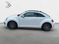 Volkswagen Beetle 1.2 TSI Allstar Navi*Kamera*SHZ*Tempomat* Blanco - thumbnail 5