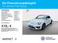 Volkswagen Beetle 1.2 TSI Allstar Navi*Kamera*SHZ*Tempomat* Blanco - thumbnail 2