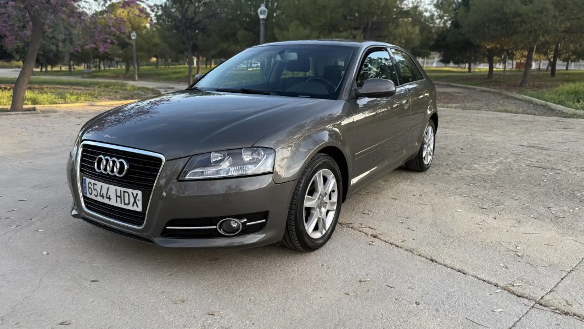 Audi A3 1.6TDI Genuine Edition Gris - 1