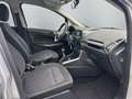 Ford EcoSport Trend 1,0l Benzin SHZ LenkradHZG Alarm Notbremsass Zilver - thumbnail 14