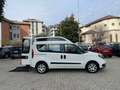 Fiat Doblo 1.6 MJT 16V 120CV XL   ***TRASPORTO DISABILI Bianco - thumbnail 4
