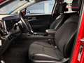 Kia Sportage 1.6 T-GDi PHEV 198kW (265CV) Tech 4x4 Rojo - thumbnail 5