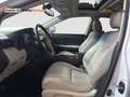 Lexus RX 450h /1.Hand/S-Dach/Xenon/Leder/SHZ/PDC Blanc - thumbnail 10