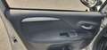 Fiat Punto 5p 1.3 mjt 16v Street 75cv E5+ - thumbnail 12