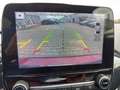 Ford Fiesta Vignale*Panorama*Navi*Leder*LED* Rojo - thumbnail 18