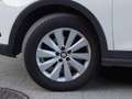 SEAT Arona 1.0 TSI 81kW 110CV DSG Xcellence Eco Blanco - thumbnail 19