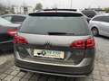 Volkswagen Golf Variant Basis BMT 4Motion Alltrack Grau - thumbnail 5
