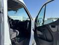 Opel Movano 9 PLAZAS Blanco - thumbnail 13