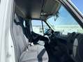 Opel Movano 9 PLAZAS Blanco - thumbnail 14