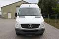 Mercedes-Benz Sprinter II 313 CDI mit AHK, Klima, TÜV NEU Weiß - thumbnail 3