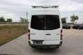 Mercedes-Benz Sprinter II 313 CDI mit AHK, Klima, TÜV NEU Weiß - thumbnail 6
