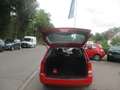 Ford Focus 1.4 Ambiente**KLIMA**TÜV-AU-BIS-10-2026** Rot - thumbnail 9