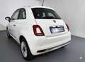 Fiat 500 1.0 Hybrid Dolcevita *CLIMA AUTO*SENSORI POST* Blanc - thumbnail 9