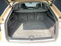 Audi Q8 S line 50 TDI qu HDMatrix/B&O/Pano/4Lenk/23"/ Gold - thumbnail 13