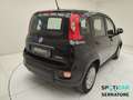 Fiat Panda III 2021 1.0 firefly hybrid s&s 70cv Noir - thumbnail 5