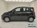 Fiat Panda III 2021 1.0 firefly hybrid s&s 70cv Noir - thumbnail 4