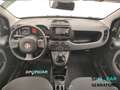 Fiat Panda III 2021 1.0 firefly hybrid s&s 70cv Noir - thumbnail 14