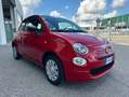 Fiat 500 500 1.0 hybrid Cult 70cv-KM ZERO!!! Rosso - thumbnail 2