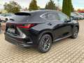 Lexus NX 350h Executive Line Techno. + Interieur-Paket Zwart - thumbnail 8